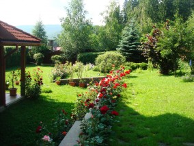 Vila de vanzare 6 camere locatie de exceptie Sinaia, judetul Prahova 713 mp