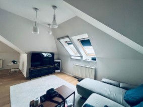 Apartament de inchiriat in vila 3 camere zona Parc Kiseleff, Bucuresti