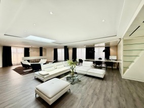 Penthouse for sale duplex type 3 rooms Nordului road - Herastrau, Bucharest 468 sqm