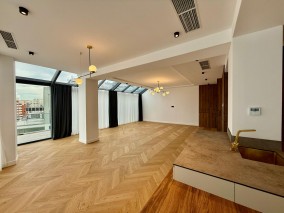 Penthouse tip duplex de vanzare 5 camere zona Titulescu - Banu Manta, Bucuresti