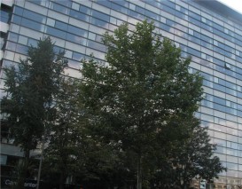 Spatii birouri de inchiriat zona Piata Victoriei, Bucuresti