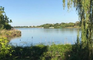 Lakefront land plot for sale Izvorani - Snagov Lake, 12.660 sqm