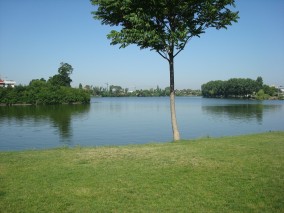Villa for rent 5 rooms Baneasa - Herastrau Park, Bucharest 400 sqm