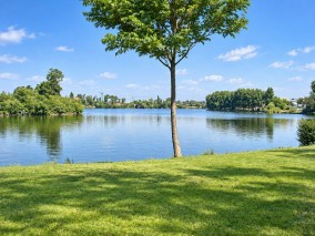 Vila de inchiriat 5 camere zona Baneasa - Parc Herastrau, Bucuresti 400 mp