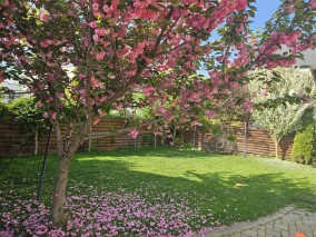 Vila de vanzare 5 camere zona Corbeanca - Central, judetul Ilfov 230 mp