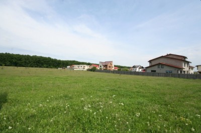 Teren de vanzare Mogosoaia, Ilfov 10.000 mp