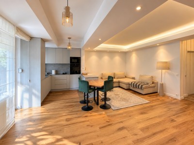 Apartament frumos si luminos cu gradina, 2 camere zona Nordului - Herastrau, Bucuresti