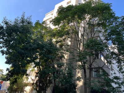 Rented apartment for saleVictoriei Square area, Bucharest 52 sqm