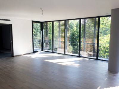 Penthouse de inchiriat 6 camere zona Primaverii, Bucuresti 285 mp