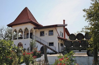 Exceptional wineyard for sale Ceptura, Prahova county