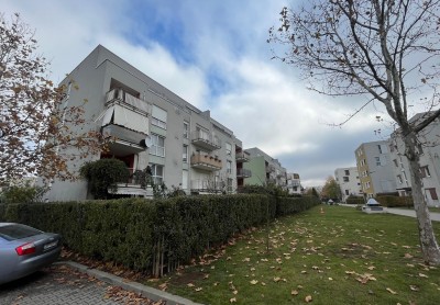 Penthouse for sale 4 room German Neighborhood - Chitila, Bucharest 240 sqm