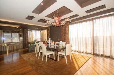 Penthouse de vanzare 5 camere zona Nordului - Herastrau, Bucuresti 650 mp