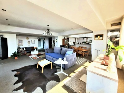 Penthouse de vanzare 5 camere zona Armeneasca, Bucuresti 478 mp