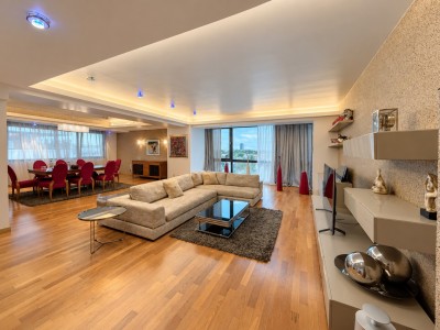 Penthouse tip duplex de vanzare 9 camere zona Nordului - Herastrau, Bucuresti