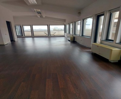 Office spaces for rent Domenii - Arcul de Triumf area, Bucharest 1320 sqm