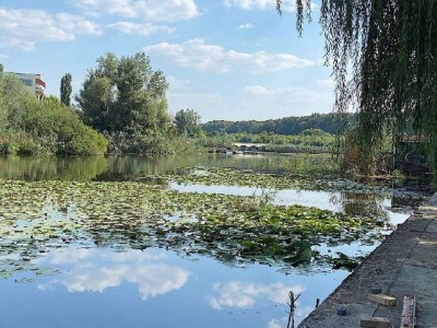 Teren de vanzare dubla deschidere Lacul Snagov, Bucuresti 20.000 mp