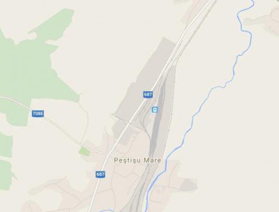 Teren de vânzare Peștișu Mare, Hunedoara 29017 mp