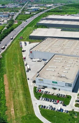 Teren de vanzare zona Ciolpani, judetul Ilfov 8.5 ha