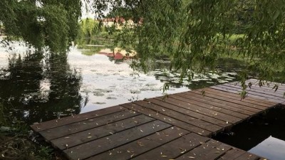 Teren de vanzare zona Silistea Snagovului, Ilfov 2099 mp