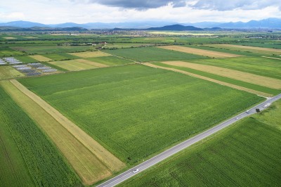 Urban land plot for sale Brasov area, Brasov county 59.600 sqm