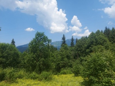 Land plot for sale in Predeal area, Brasov county 10.850 mp