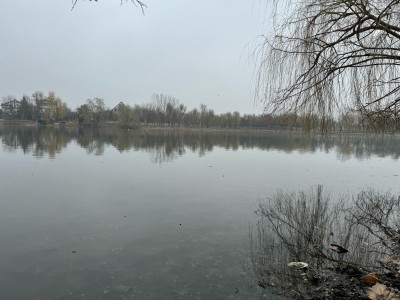 Land plot for sale at the lake, Mogosoaia area, Ilfov county