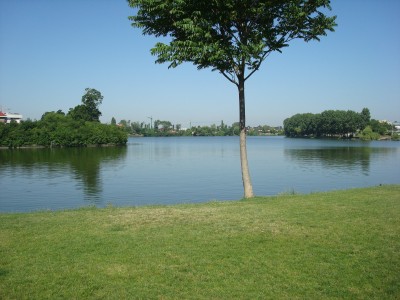 Villa for rent 5 rooms Baneasa - Herastrau Park, Bucharest 400 sqm