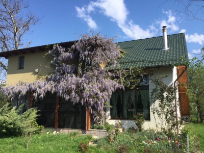 Vila de vanzare 5 camere zona Bolintin Vale, judetul Giurgiu
