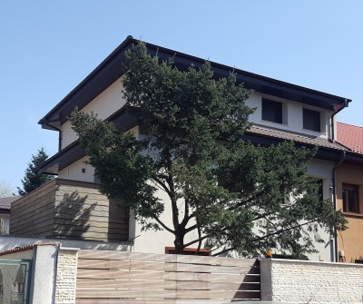 Vila de vanzare 6 camere zona Primaverii, Bucuresti 285 mp
