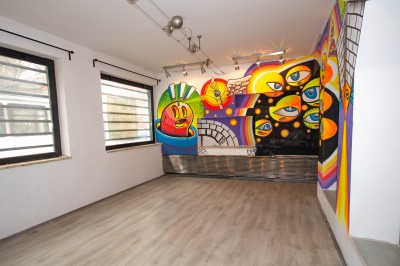 Vila de vanzare 7 camere zona Piata Victoriei, Bucuresti 280 mp