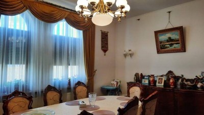 Iorgu Antonescu` house for sale Ramnicu Sarat city, Buzau county
