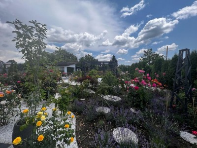 Vila spectaculoasa de vanzare 6 camere Snagov, judetul Ilfov