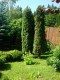 Vila de vanzare 6 camere locatie de exceptie Sinaia, judetul Prahova 713 mp