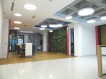 Office spaces for sale in villa Dorobanti - Capitale area, Bucharest