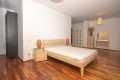 Apartment for rent 2 rooms Herastrau area, Bucharest 119 sqm