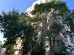 Rented apartment for saleVictoriei Square area, Bucharest 52 sqm