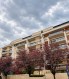 Luxury apartment for rent 4 rooms, Herastrau area, Bucharest