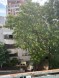 Garsoniera de vanzare locatie exceptionala zona Armeneasca, Bucuresti