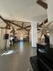 Negropontes Palace, a building with special eclectic charm, in the heart of Bucharest