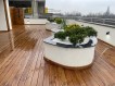 Penthouse for rent 5 rooms Herastrau Park area, Bucharest