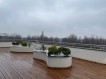 Penthouse for rent 5 rooms Herastrau Park area, Bucharest