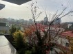 Penthouse premium de inchiriat 4 camere zona Primaverii, Bucuresti 200 mp