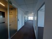 Spatii birouri de inchiriat zona Splaiul Independentei, Bucuresti