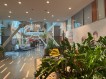 Office space for rent Presei Libere Square area, Bucharest