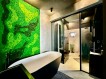 Vila cu design modern si piscina incalzita 6 camere zona Iancu Nicolae, Bucuresti