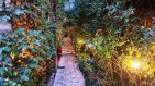 Villa for sale Ion Mihalache area, Bucharest 559 sqm