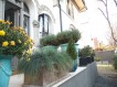 Villa for sale 12 rooms Domenii - Casin area, Bucharest 812 sqm