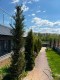 Vila exclusivista de vanzare 5 camere zona Corbeanca, judetul Ilfov 426 mp