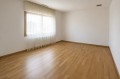 Vila frumoasa cu piscina de inchiriat 5 camere zona Iancu Nicolae, Bucuresti