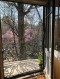 Villa Ion Voicu for sale - partially - 1st floor and attic - Ioanid Park - Icoanei Garden area, Bucharest